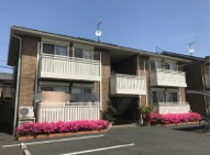 （メゾン・ド・ペッツ アルル）の画像