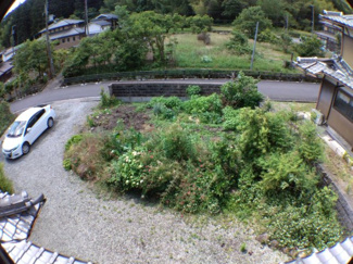【庭】 | 山南町応地中古 | 家庭菜園