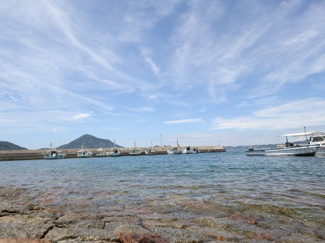 【周辺】 | カーサグラン高浜