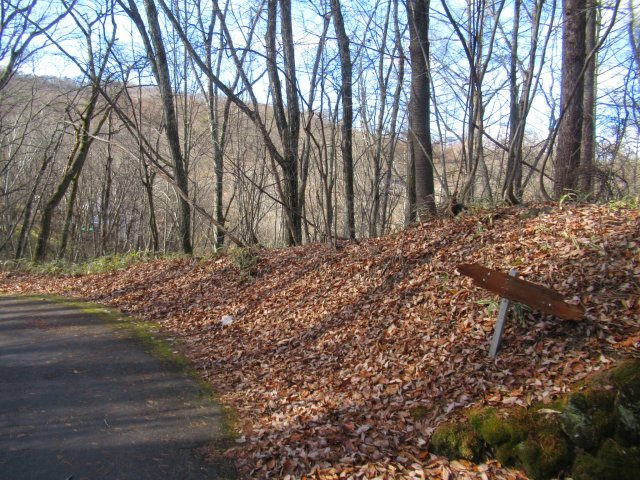 八風の郷①の外観|外観もきれいです