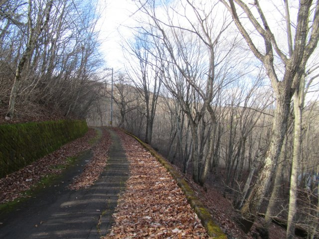 八風の郷②の前面道路含む現地写真|南西から