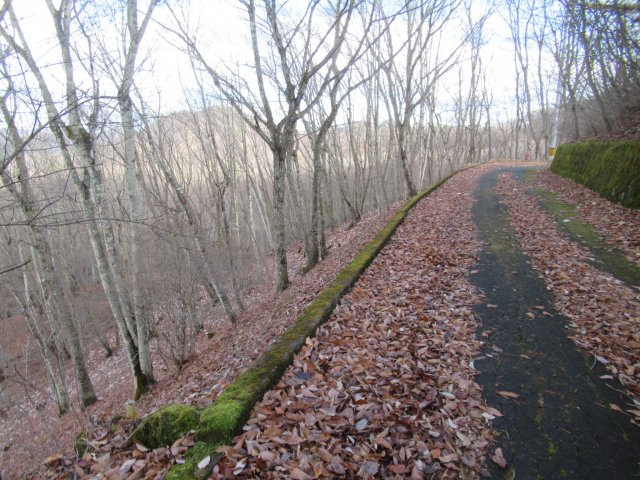 八風の郷②の前面道路含む現地写真|南東から