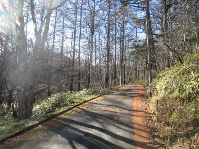 八風の郷③の外観|きれいな外観です