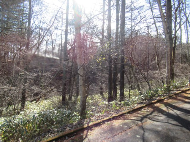 八風の郷③の前面道路含む現地写真|北東より