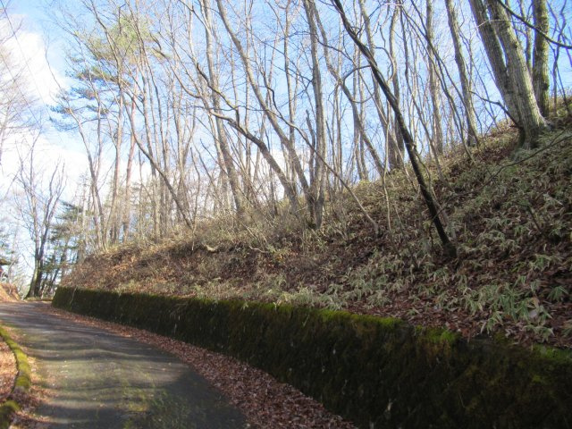 八風の郷④の前面道路含む現地写真|北西より