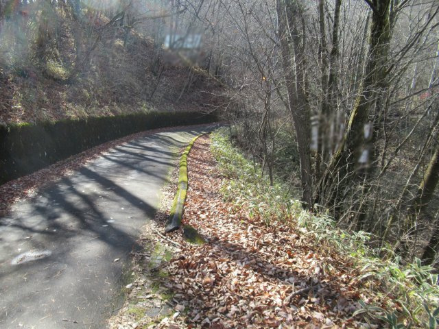 八風の郷④の前面道路含む現地写真|北東より