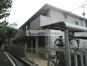 デスパシオブリッサの画像