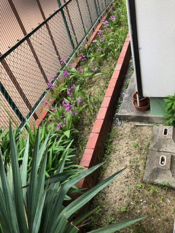 サンコ－ハイツ