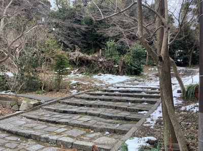  | 吉田神楽岡町　土地【建築条件なし・更地】