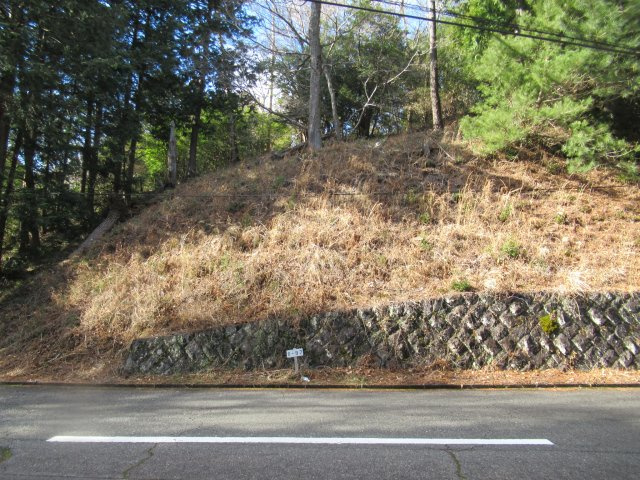 伊豆富士見ニュータウン別荘地④