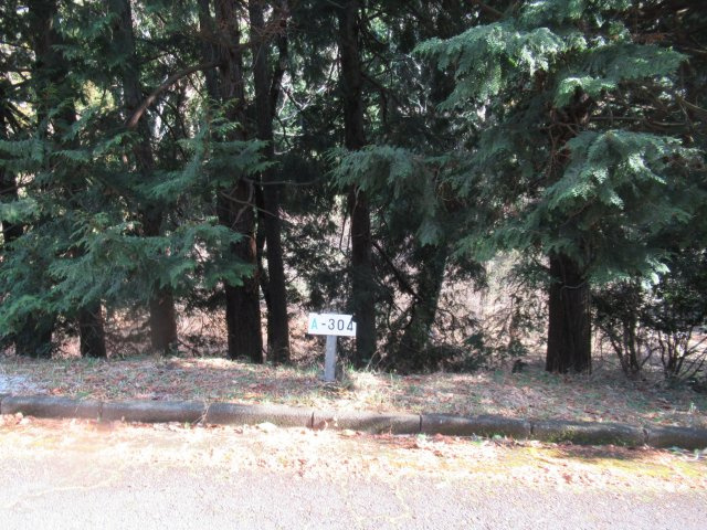 伊豆富士見ニュータウン別荘地⑤