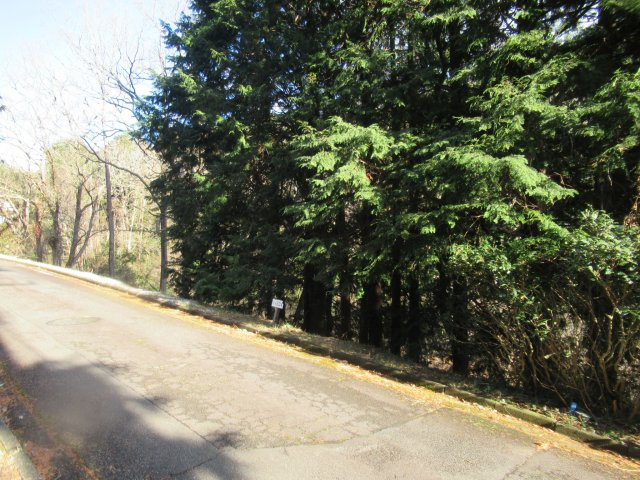 伊豆富士見ニュータウン別荘地⑤の前面道路含む現地写真|北西から