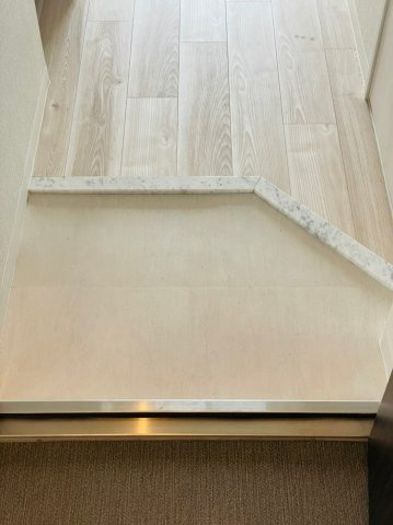 仲介手数料0！！エスプレイス鶴舞ガーデンテラスの玄関