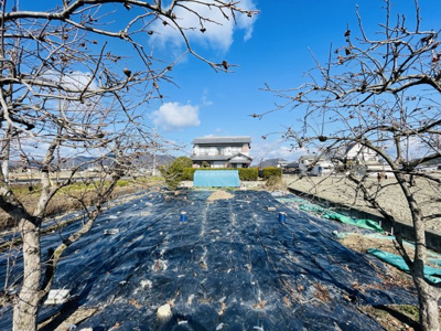 【周辺】 | 地続き農地付き！たつの市誉田町高駄／中古戸建 | 地続き農地