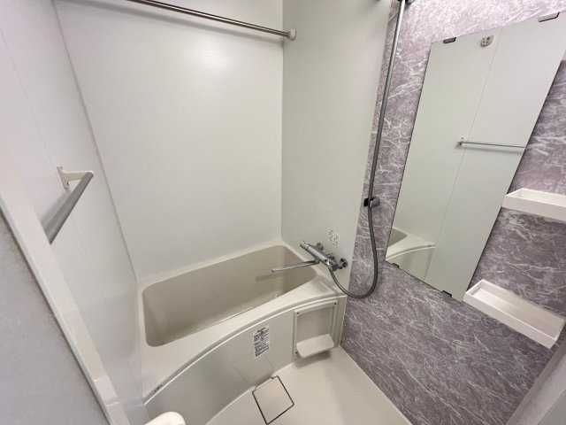 S-RESIDENCE難波大国町Unoの浴室