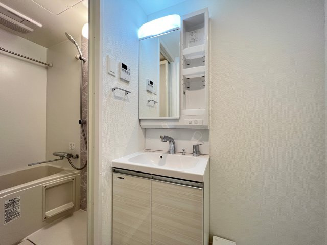 S-RESIDENCE難波大国町Unoの独立洗面台