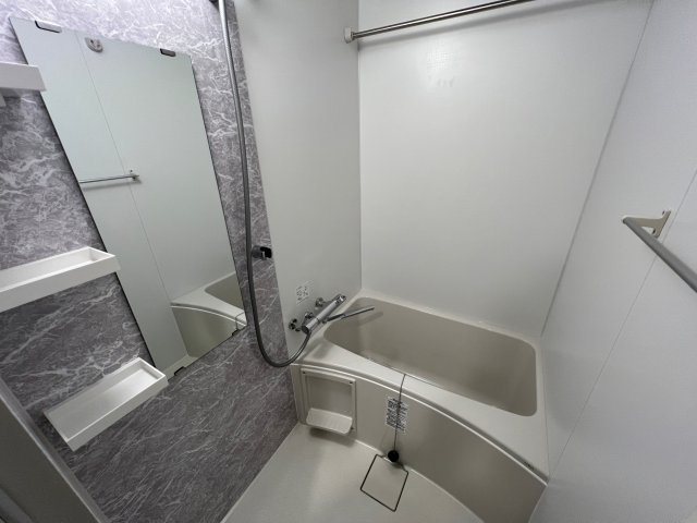 S-RESIDENCE難波大国町Unoの浴室
