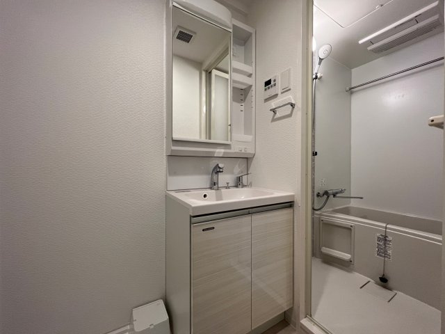 S-RESIDENCE難波大国町Unoの独立洗面台