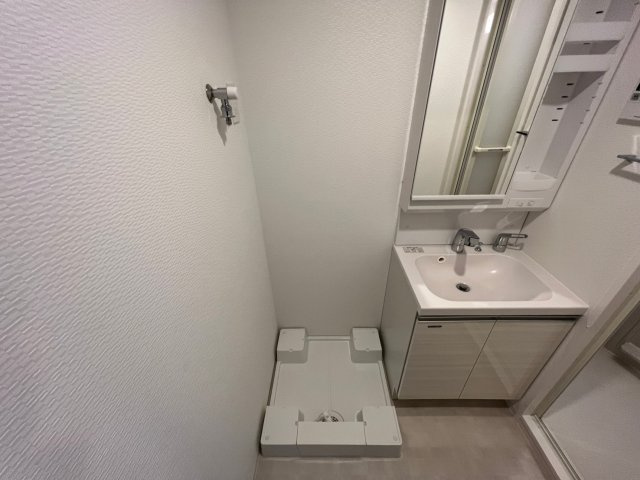 S-RESIDENCE難波大国町Unoの洗面所