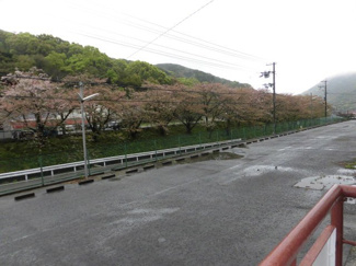 【駐車場】 | ※同物件、別のお部屋の写真です。