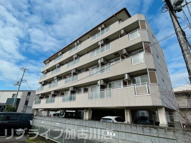フェルシアIDOの画像