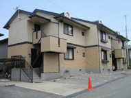 Forever Hilの画像