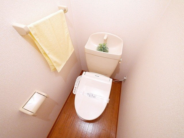 カラコレスのトイレ|清潔感のあるトイレです