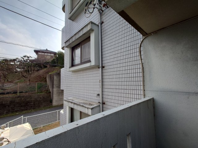 エビハラビルのその他