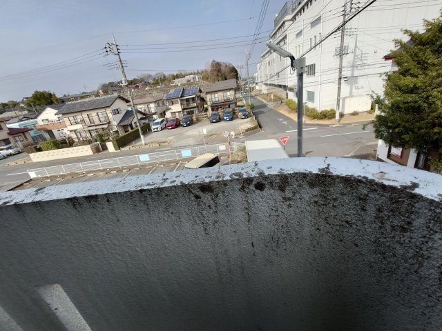 エビハラビルのその他