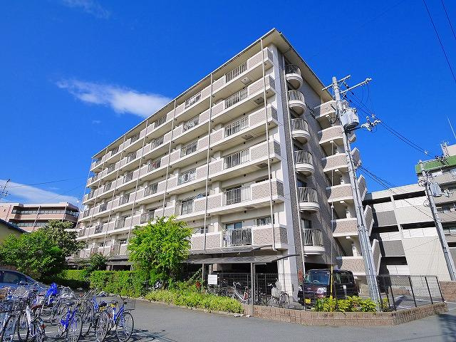 アイリスハイツ7号館の外観|落ち着いた雰囲気の外観です