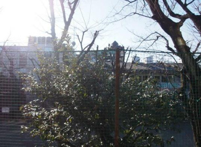 【展望】 | メイプル南烏山