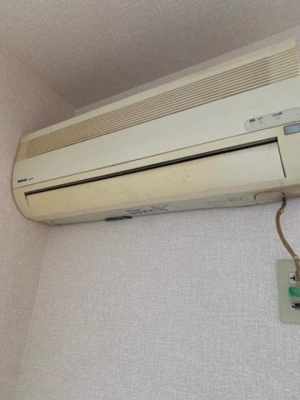  | マリーモナリエ