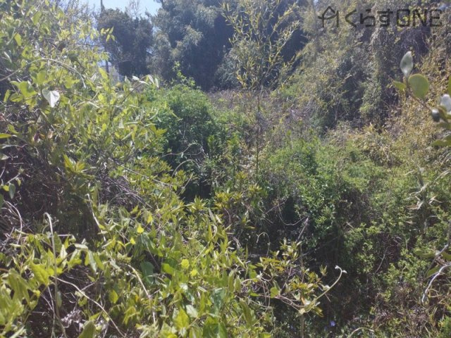 【外観】 | たつの市御津町室津／売土地