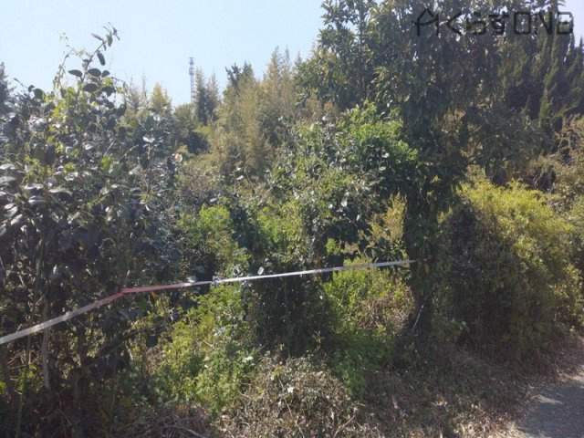 【外観】 | たつの市御津町室津／売土地