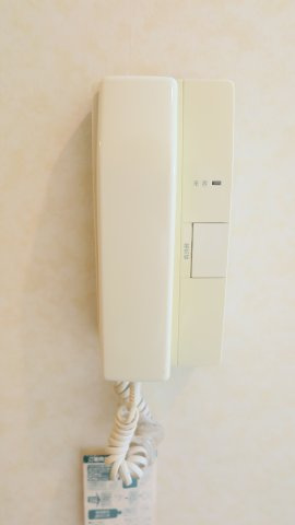ルピナス南堀江のセキュリティ