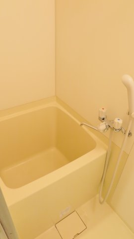 ルピナス南堀江の浴室