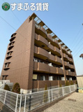 ロベリア　刈谷市小垣江町の画像