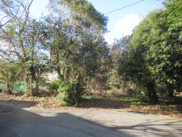 伊豆富士見ニュータウン別荘地⑧