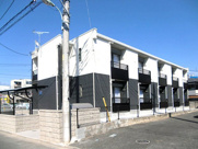 ひまわりの画像