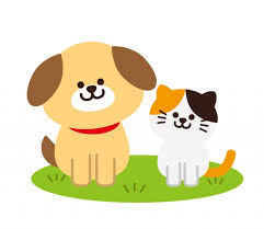 【その他】 | ドミールK | ペット可（小型犬・猫2匹まで※条件有）