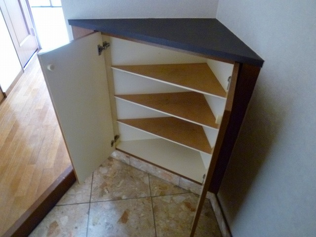 FLEX久留米駅前【キャッシュバック対象】の玄関|収納もある玄関です