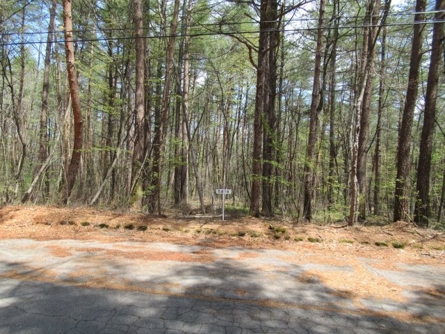 エンゼルフォレスト浅間高原①の外観|外観もきれいです