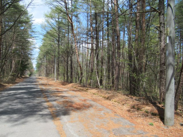エンゼルフォレスト浅間高原①の前面道路含む現地写真|南側から