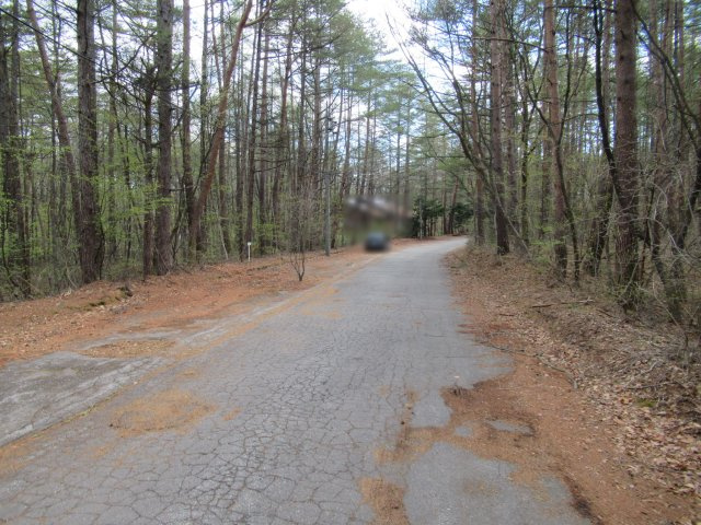 エンゼルフォレスト浅間高原①の前面道路含む現地写真|北側から