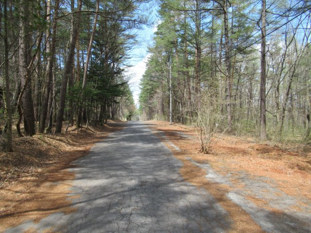 エンゼルフォレスト浅間高原①の前面道路含む現地写真|二車線、遊歩道もある道路です