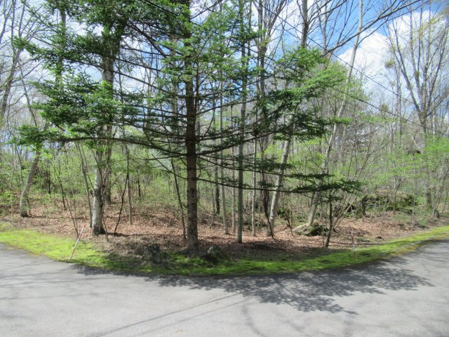 嬬恋の里別荘地①