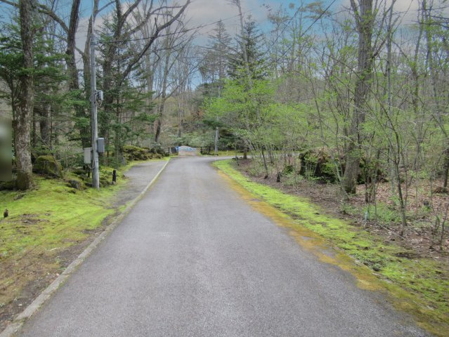 嬬恋の里別荘地①の前面道路含む現地写真|北側から