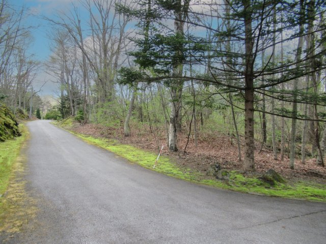 嬬恋の里別荘地①の前面道路含む現地写真|物件の角から西