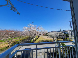 【展望】 | 目の前が公園と、平田川ですので緑で癒されます！春には桜が満開で綺麗ですよ。