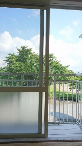 Van Vincentの展望|お部屋から見た目の前の公園です。